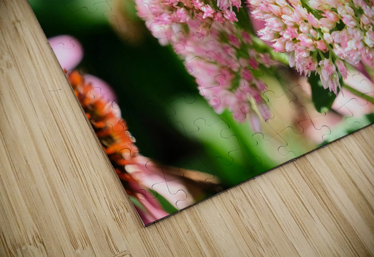  Sedum and the Messenger of Life Click4Pix Puzzle