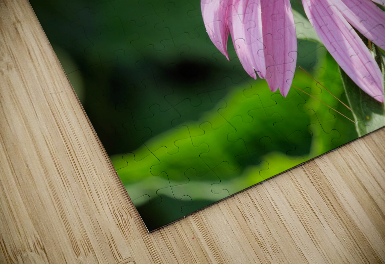 The Harmony of Pollination: Twin Bees on a Purple Coneflower Click4Pix Puzzle