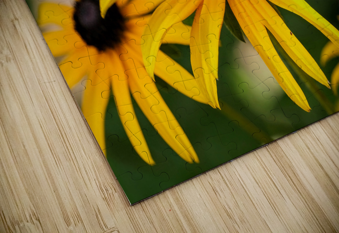 Bee One with Black-Eyed Susan Click4Pix Puzzle
