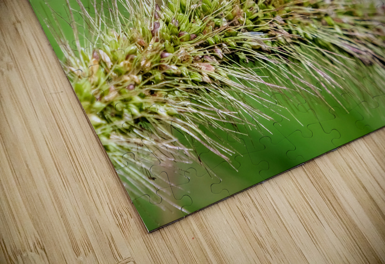 Smiling Happy Hopper on the Wild Silk Spine Click4Pix Puzzle