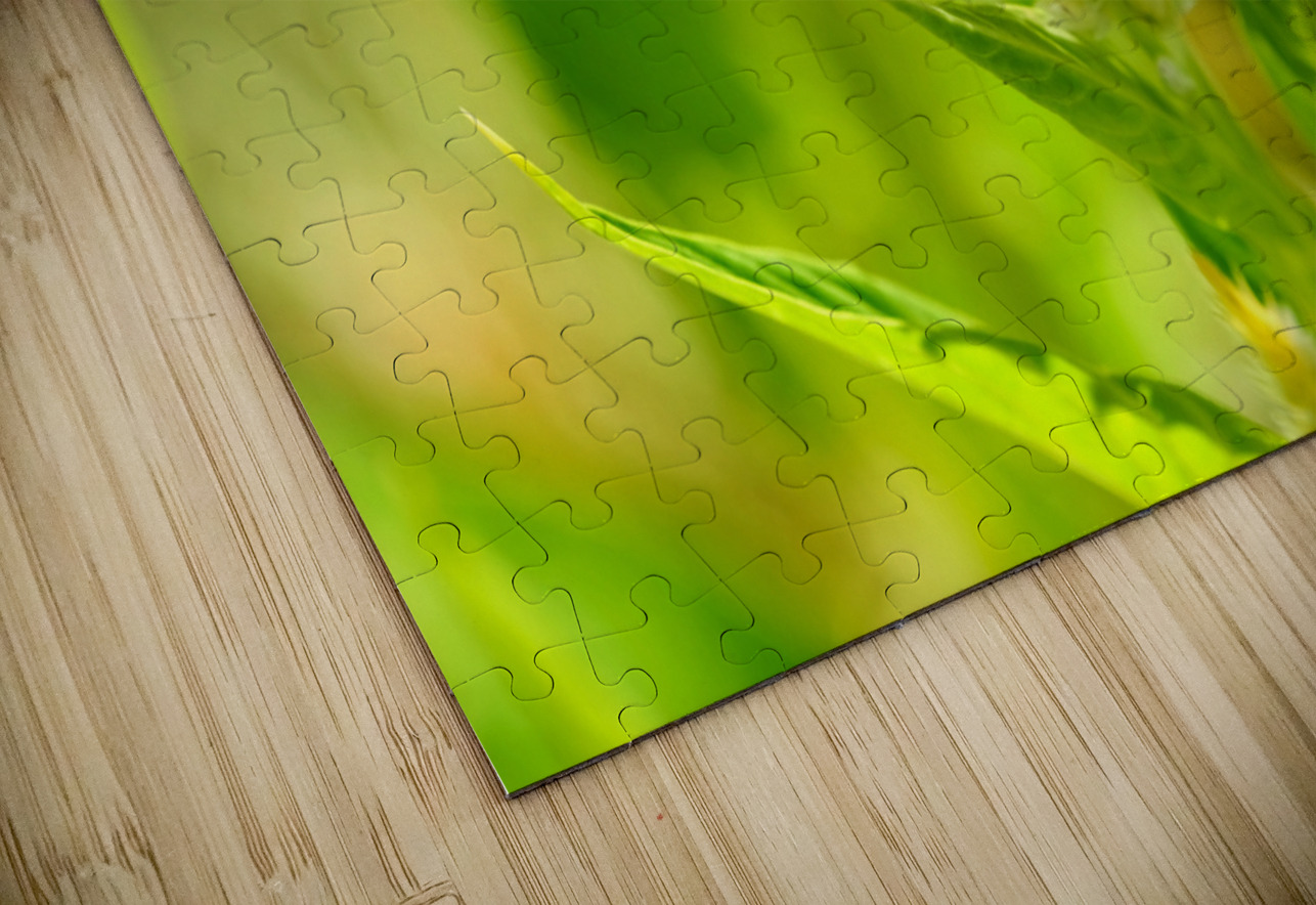 The Daylight Firefly: Guardian of the Green Flame Click4Pix Puzzle