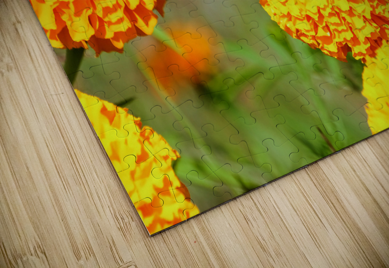 In Bloom and Flight: A Conversation in Color Click4Pix Puzzle