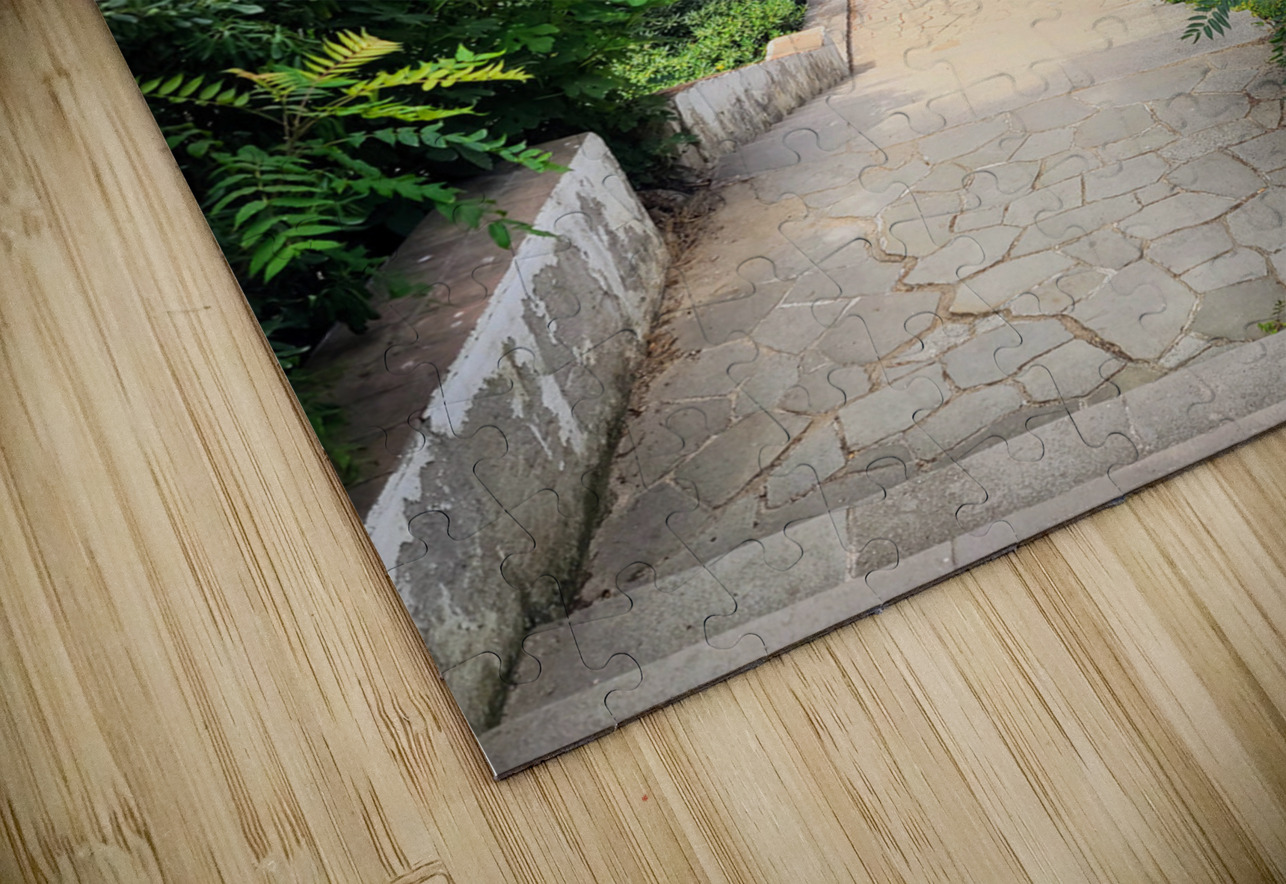 The Pause in the Path Click4Pix Puzzle