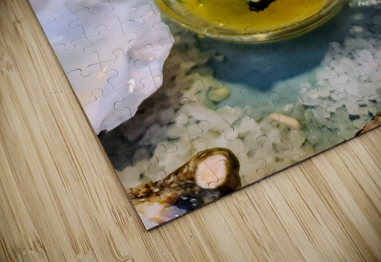 Brine & Butter: A Moment Between Tides Click4Pix Puzzle