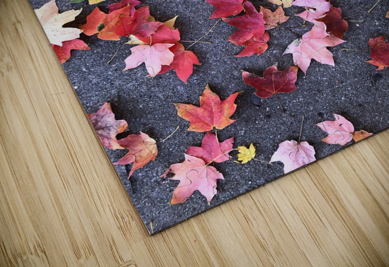 Grounded in Colors 1B Click4Pix Puzzle