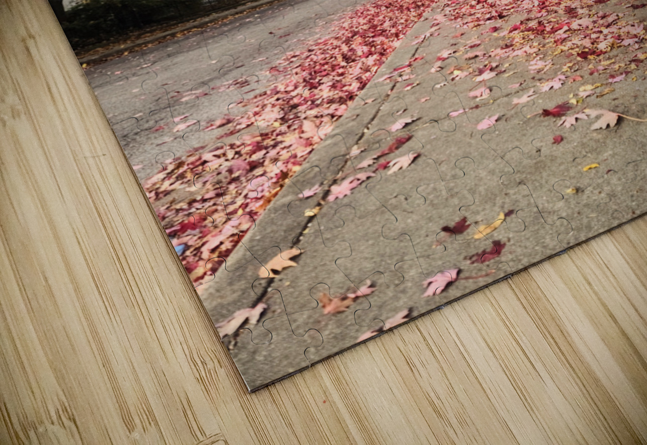 Fall Over the Fence  Click4Pix Puzzle