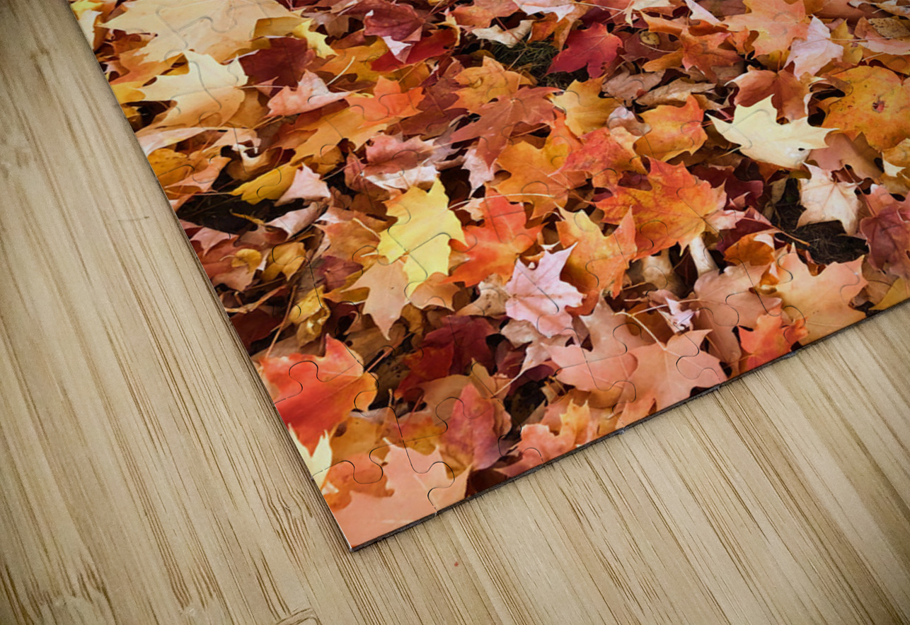 Leaves Me Stumped 1A Click4Pix Puzzle