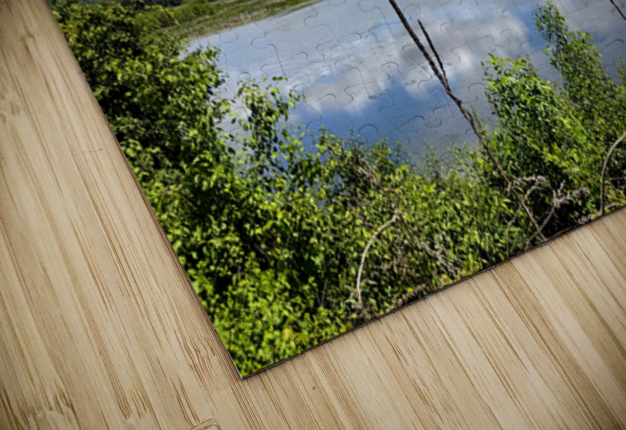 Into the Wild Blue Click4Pix Puzzle