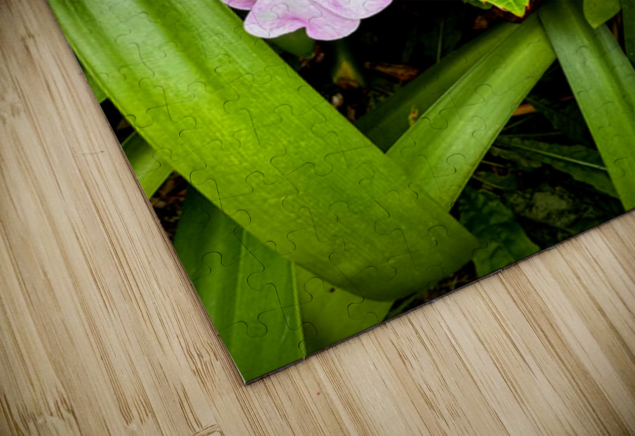 Twin Beauty & Symmetry Click4Pix Puzzle