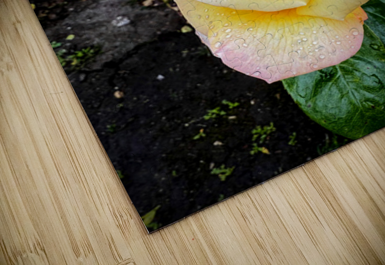 Alchemy in Bloom Click4Pix Puzzle