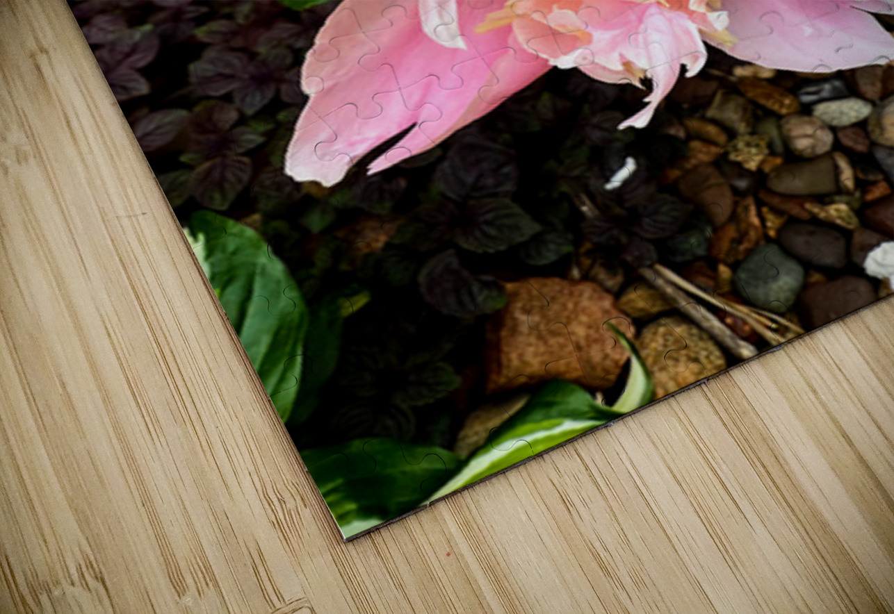 Raspberry Sundae: The Painter’s Peony Click4Pix Puzzle