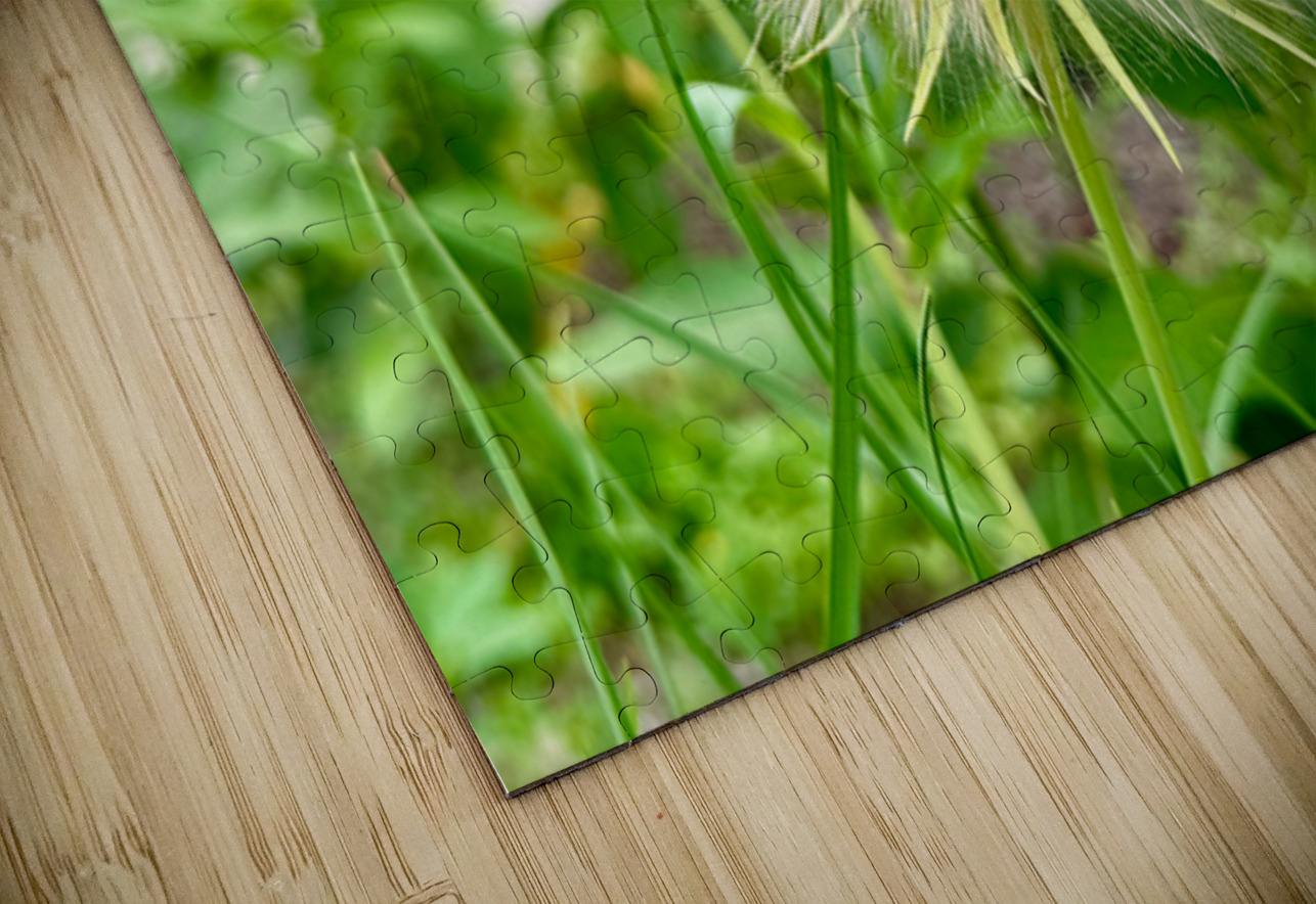 The Last Wishkeeper: Holding Dreams Before the Wind Click4Pix Puzzle