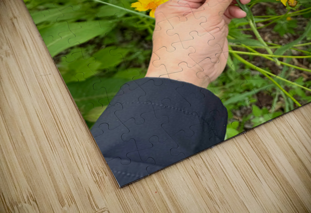 The Wild Stillness Between Wishes Click4Pix Puzzle