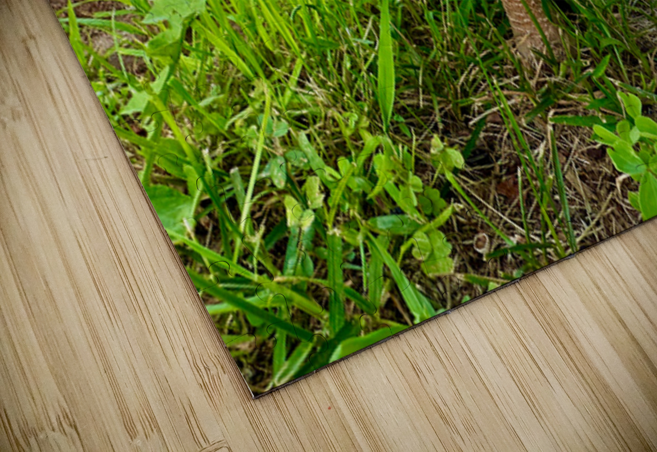 Capstone of the Lawn Click4Pix Puzzle