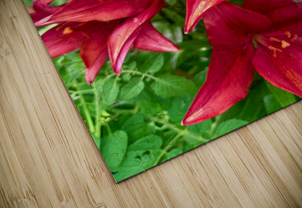 The Gathering of Fire Blooms Click4Pix Puzzle