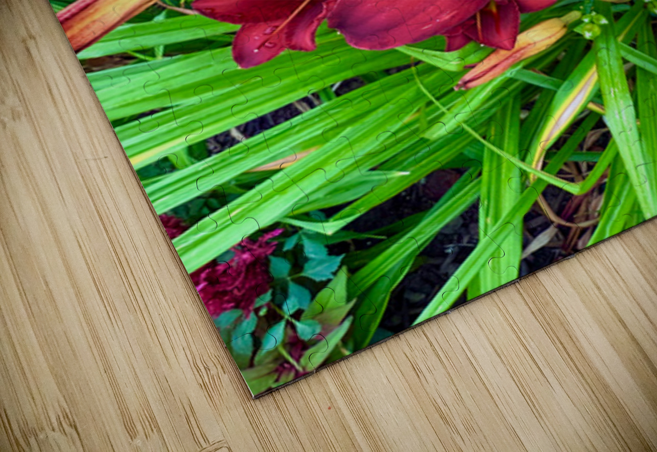 Scarlet Awakening Click4Pix Puzzle