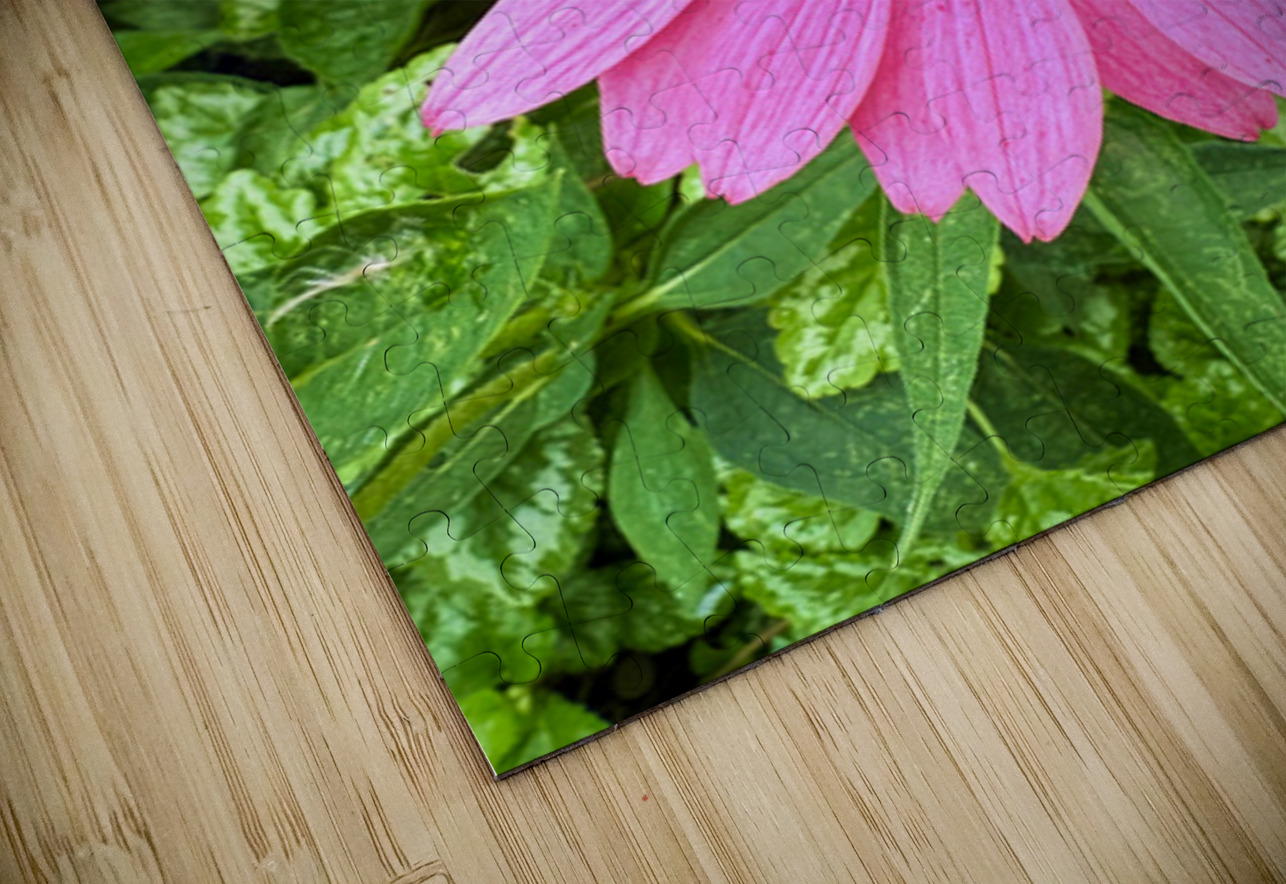 Pink Serenity Click4Pix Puzzle