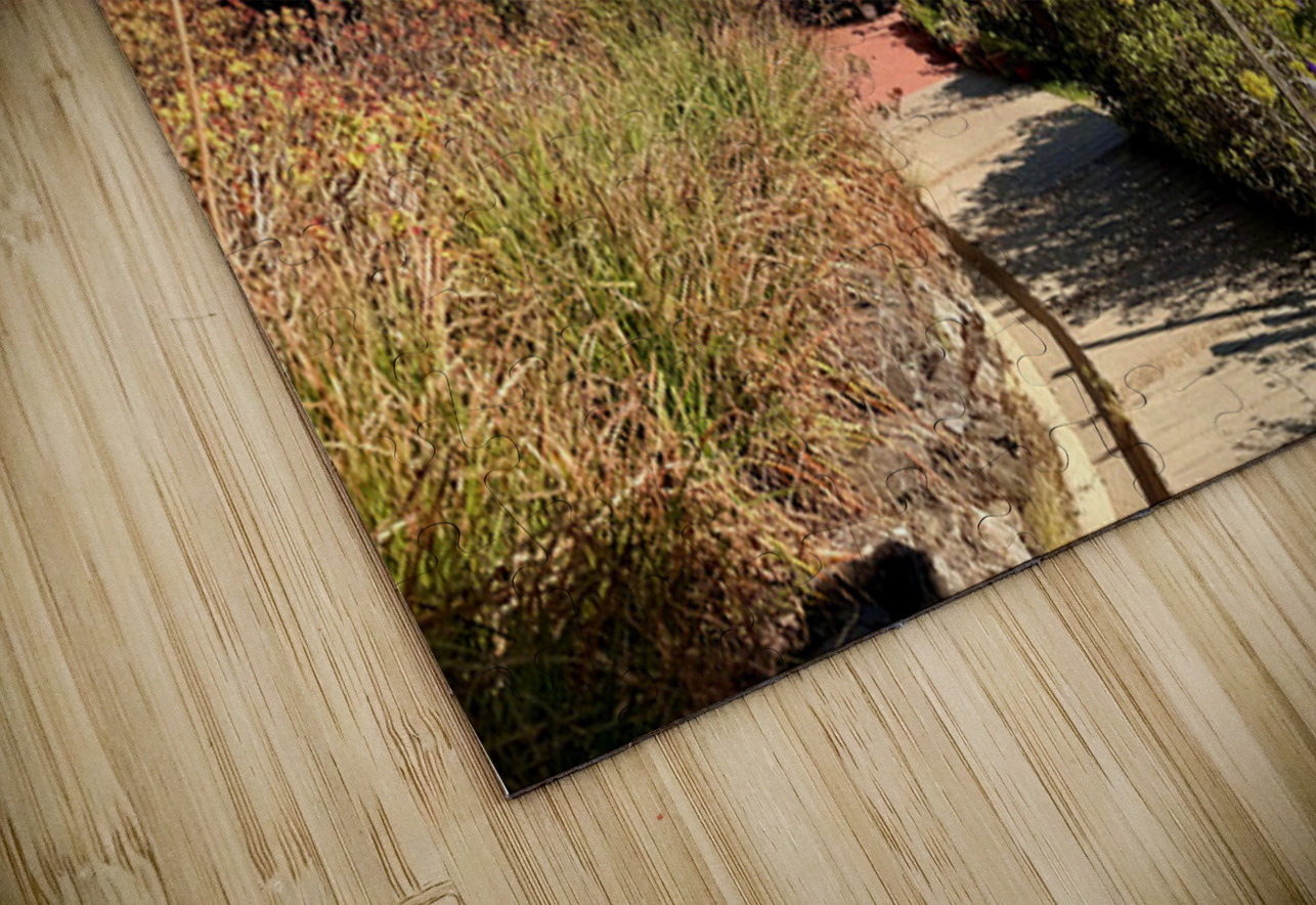 IMG 9695 Click4Pix Puzzle