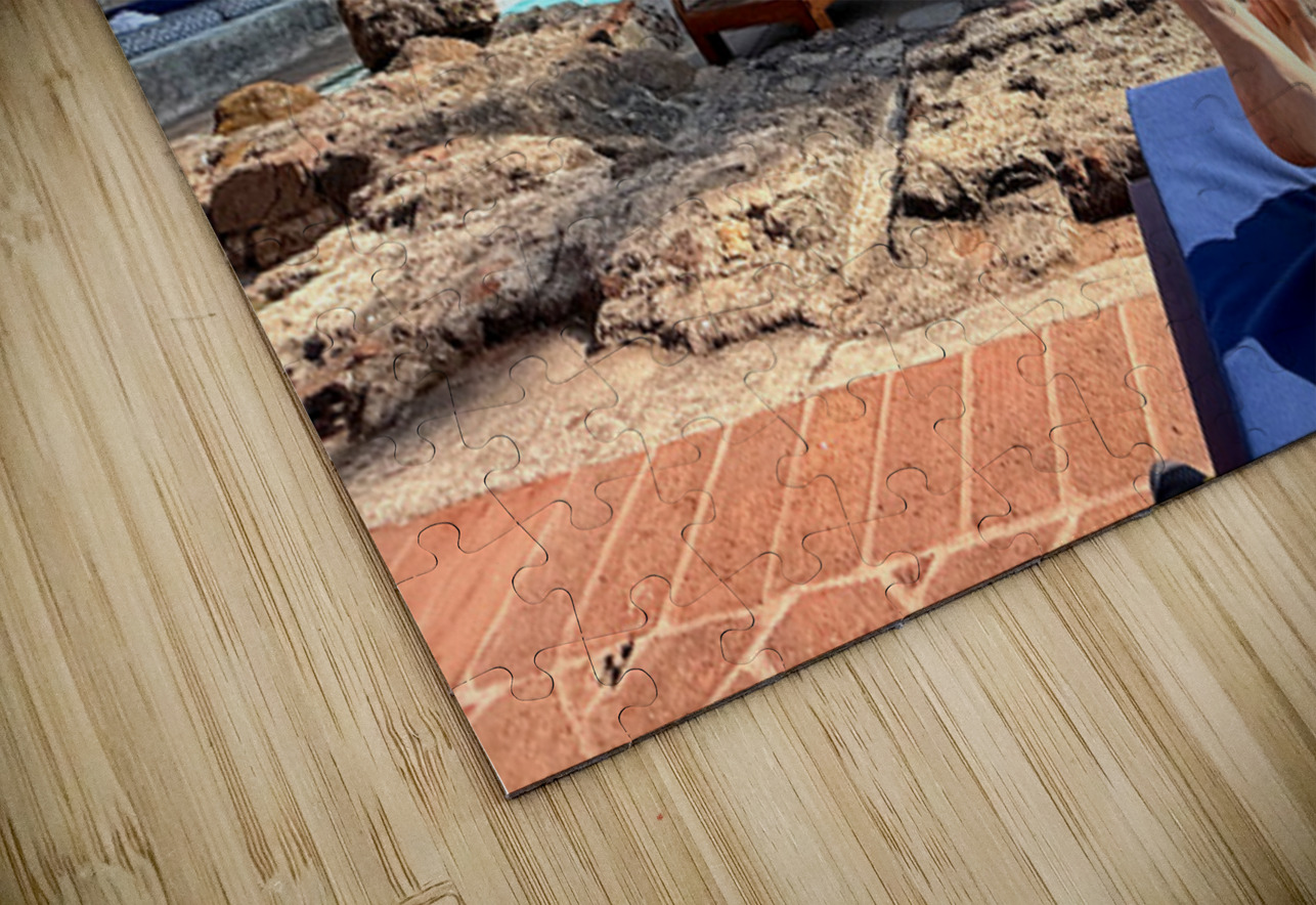 IMG 0342 Click4Pix Puzzle