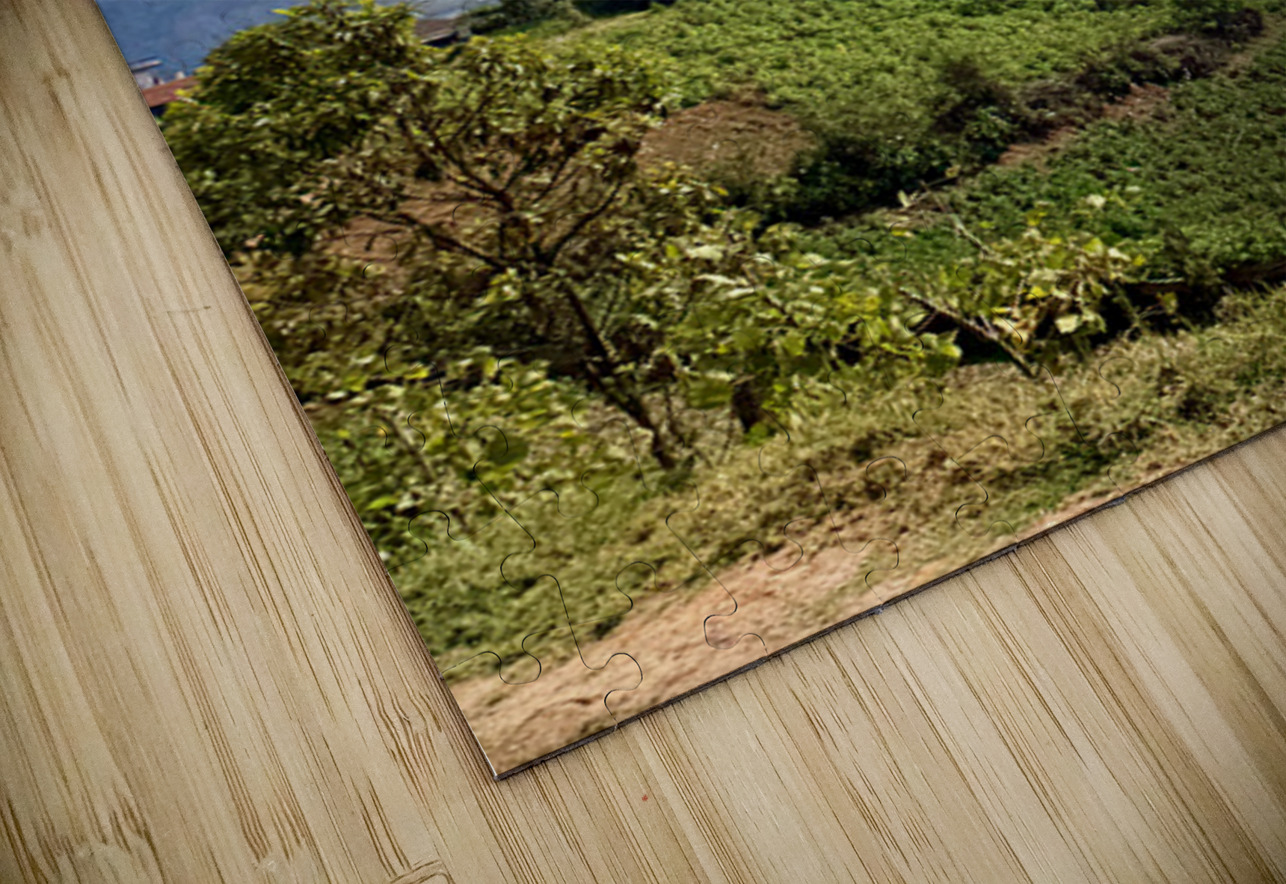 IMG 9267 Click4Pix Puzzle