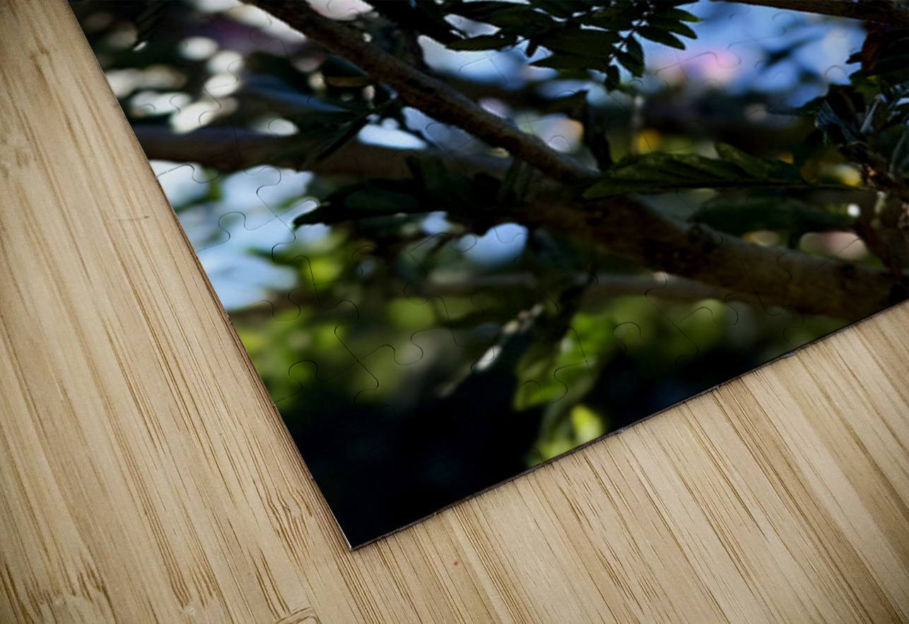 IMG 0029 Click4Pix Puzzle