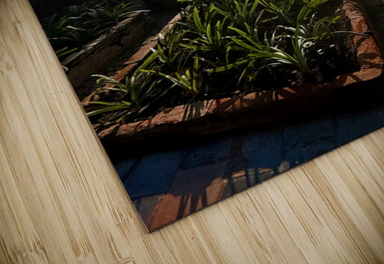 IMG 9939 Click4Pix Puzzle