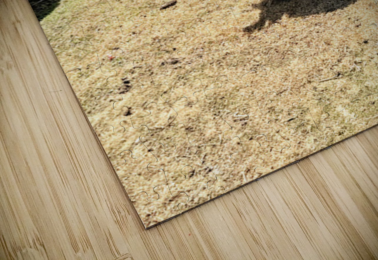 IMG 9621 Click4Pix Puzzle