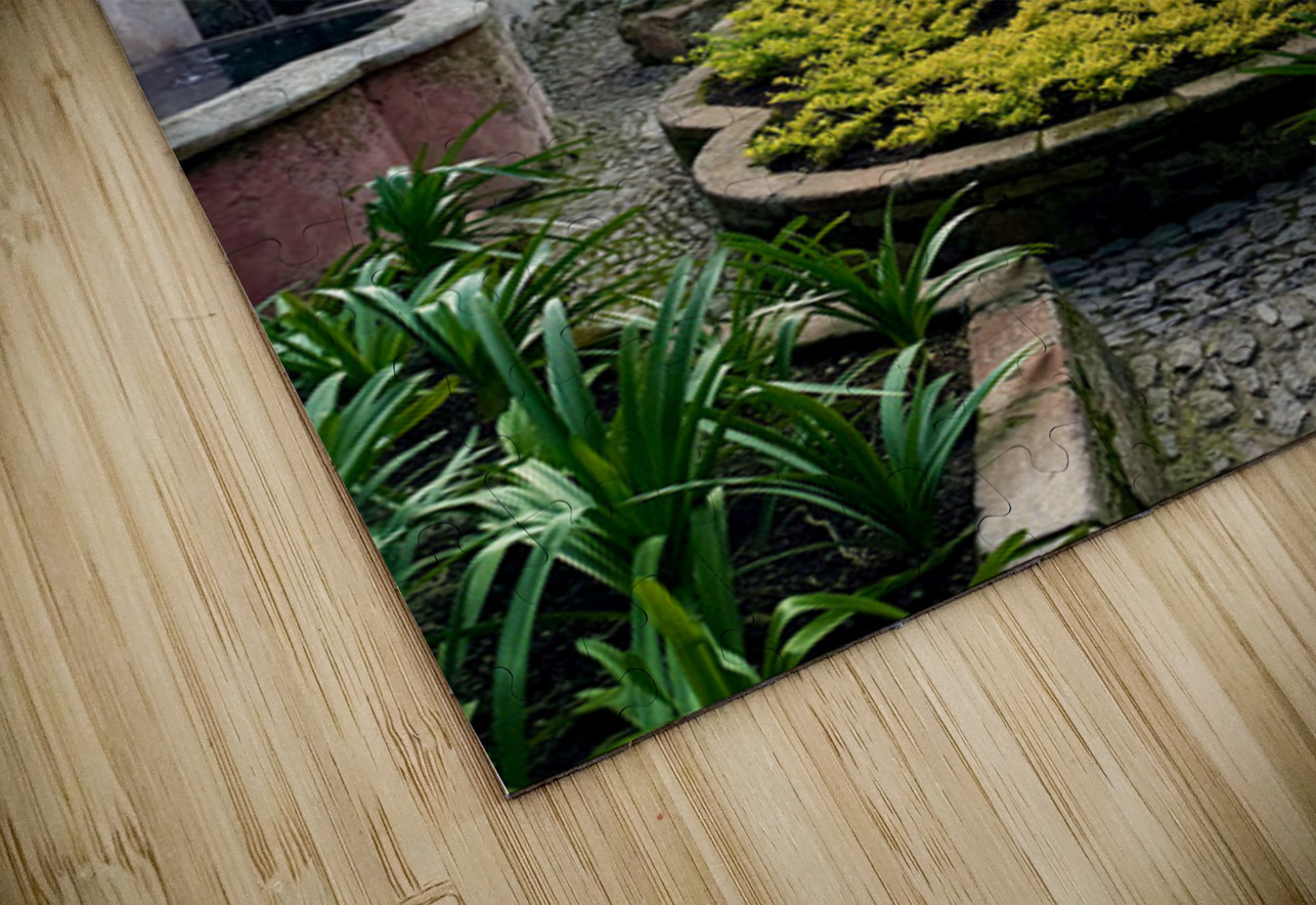 IMG 9950 Click4Pix Puzzle