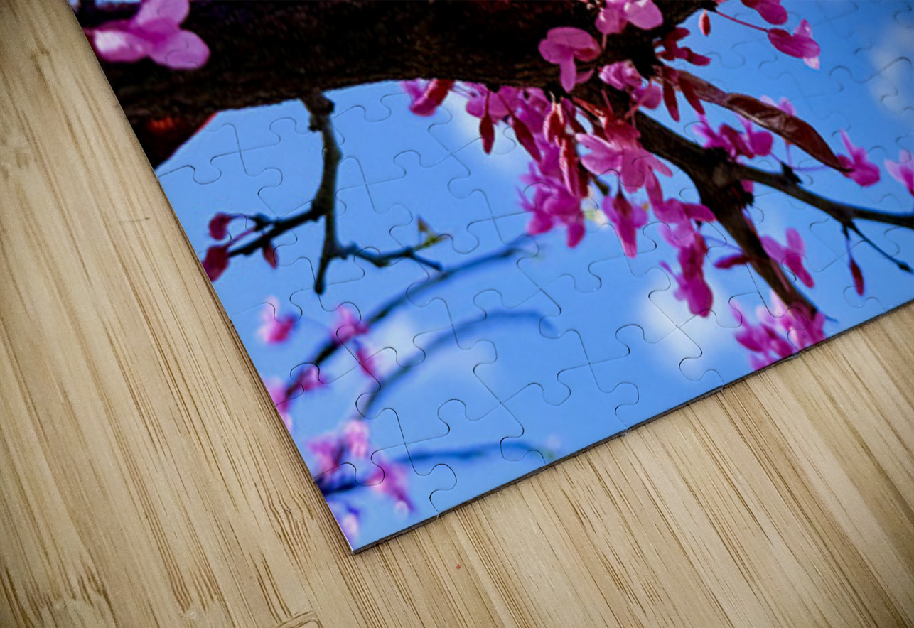 IMG 1704 Click4Pix Puzzle