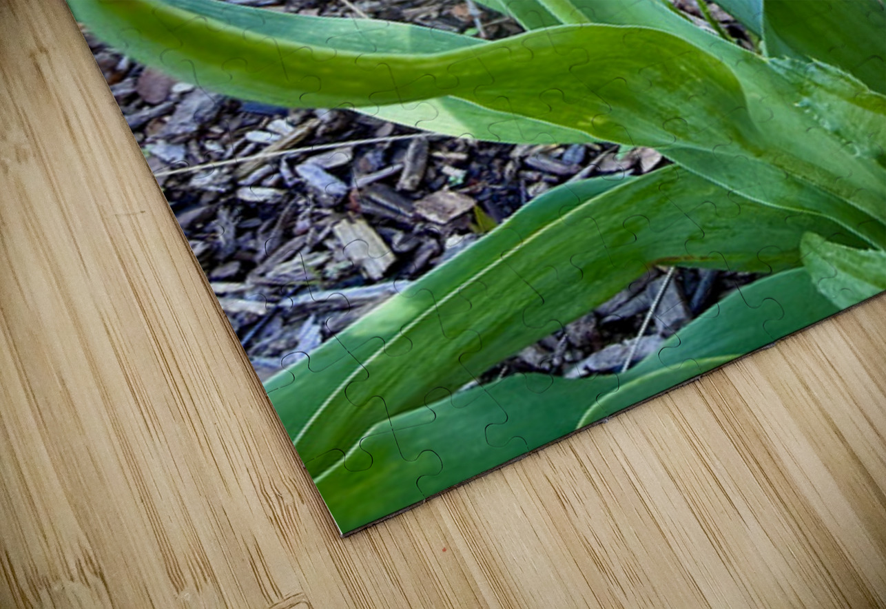 Double Flame Click4Pix Puzzle