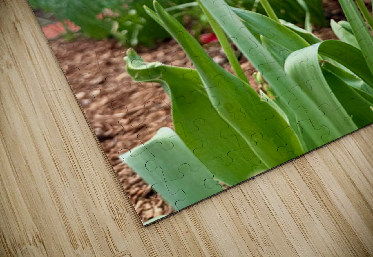 City Blooms Click4Pix Puzzle