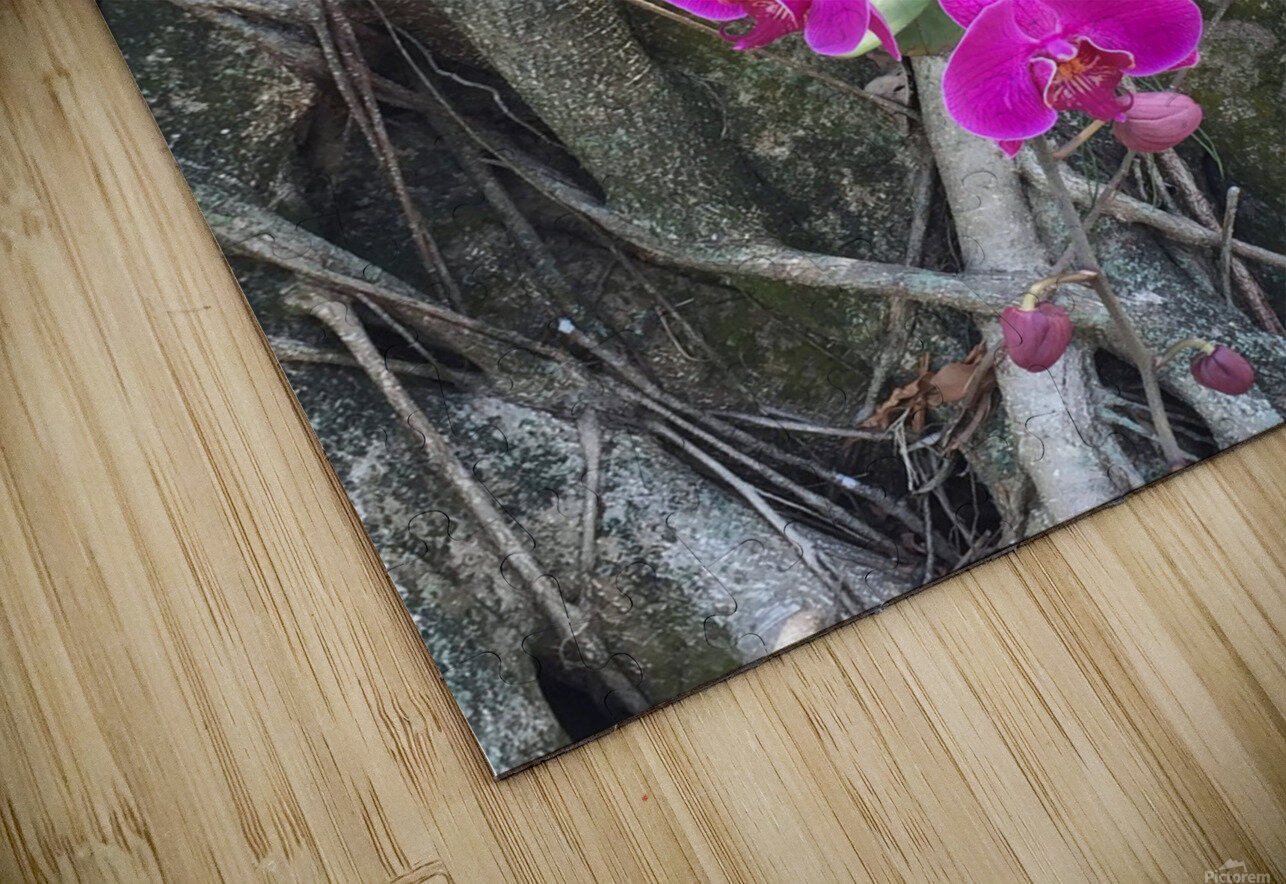 Natural Orchid 1 Click4Pix Puzzle