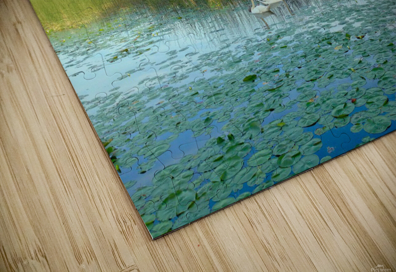 MI Swan Lake Click4Pix Puzzle