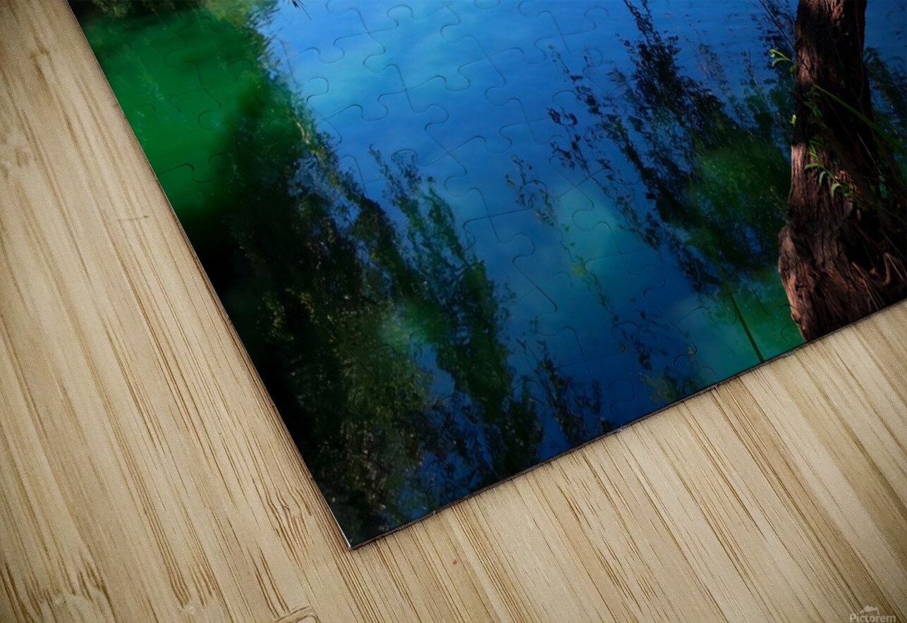 Pond Do 2 Click4Pix Puzzle