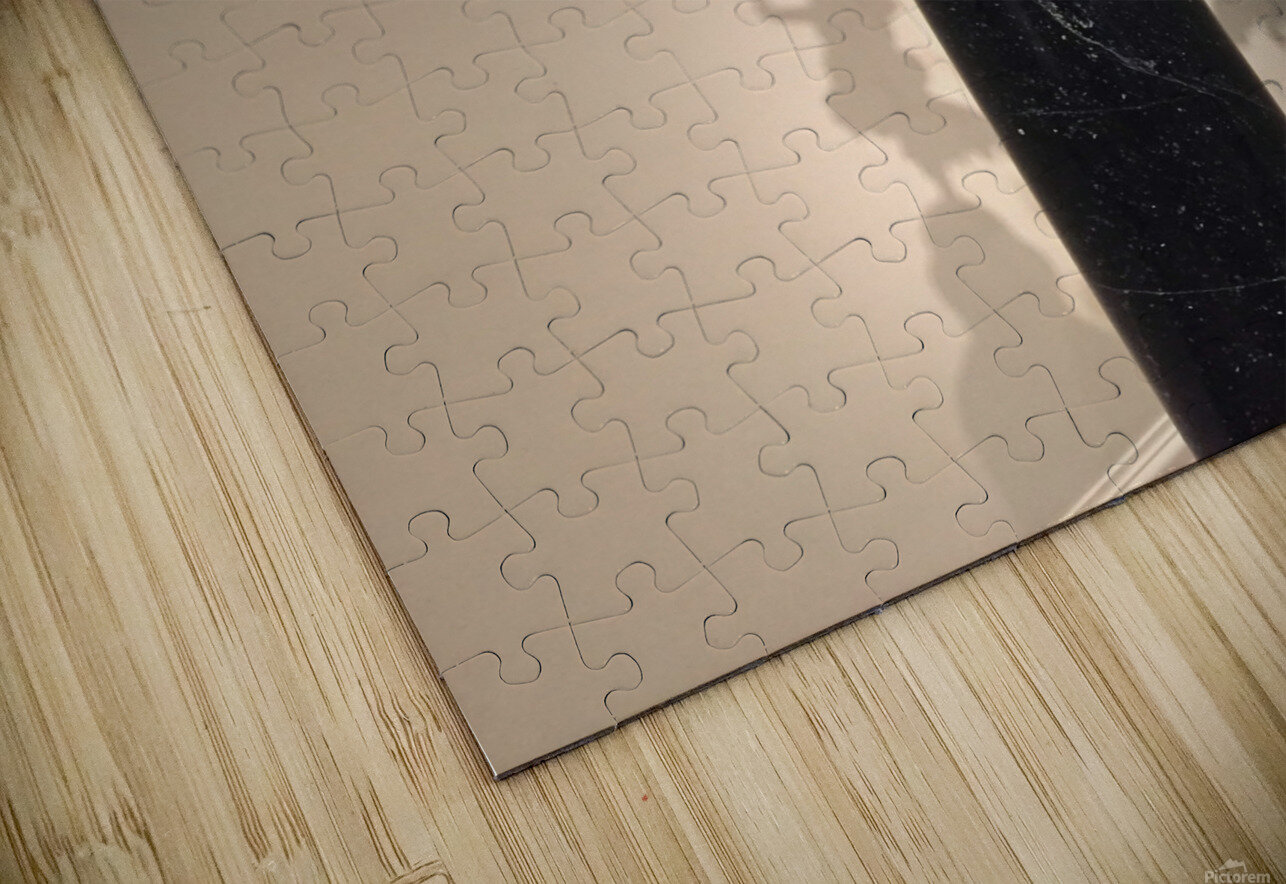 Museum Reflections 4C Click4Pix Puzzle