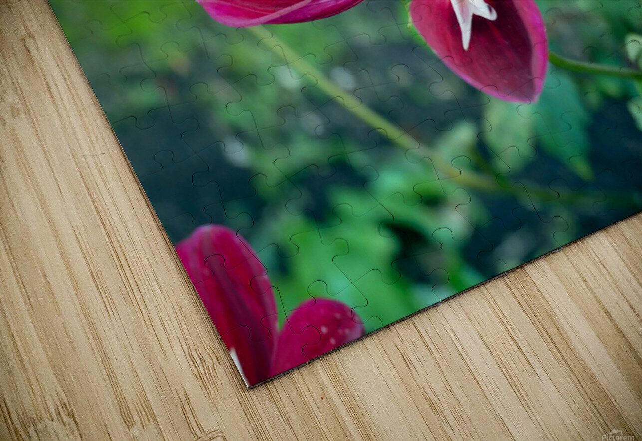 Crimson Bloom Boom   Click4Pix Puzzle