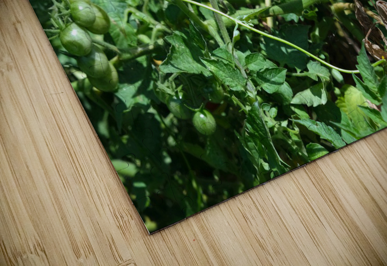 Pop My Cherry Tomato Click4Pix Puzzle