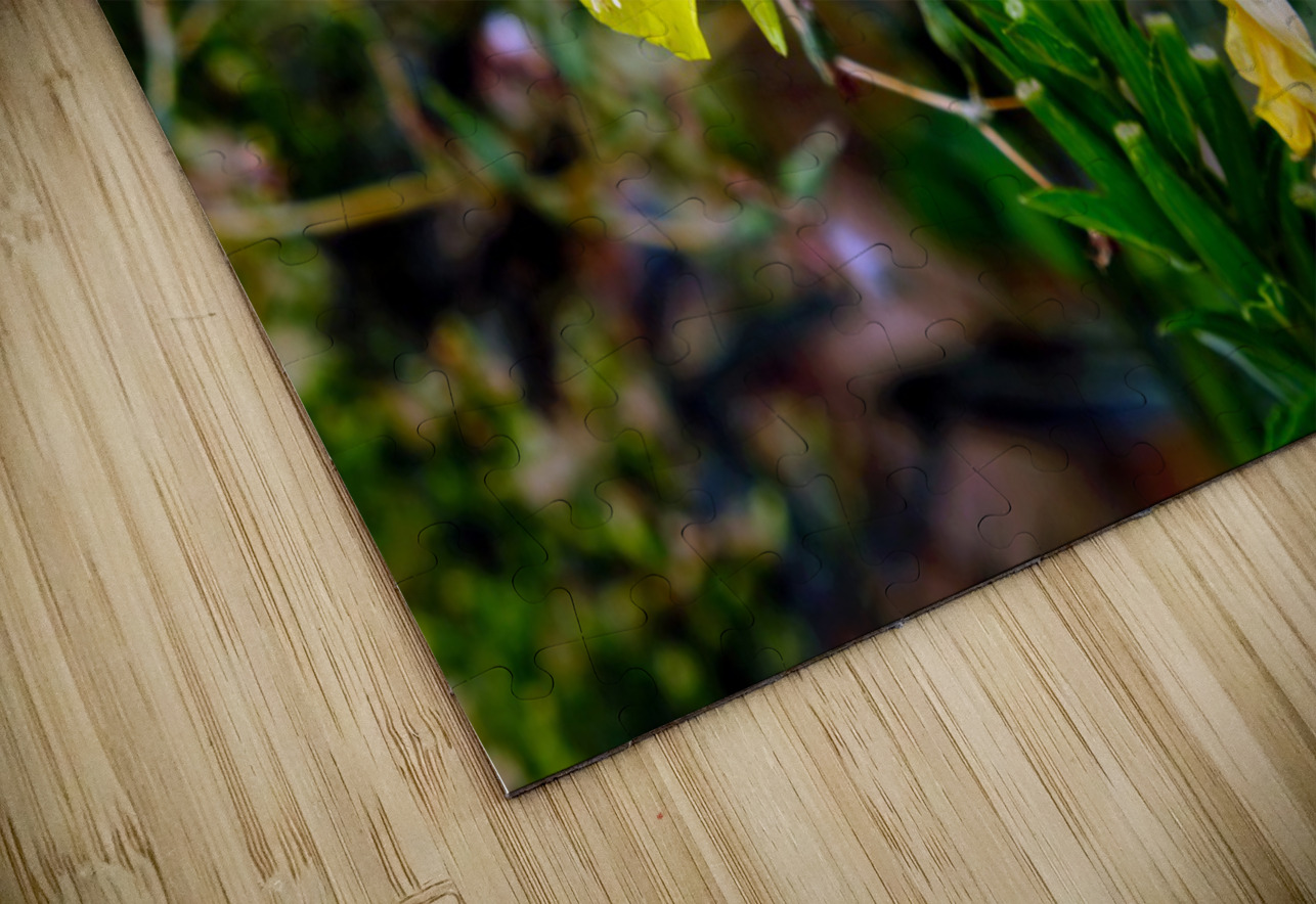 To Bee or Not to Bee  3   -- The Struggle Is Real Click4Pix Puzzle