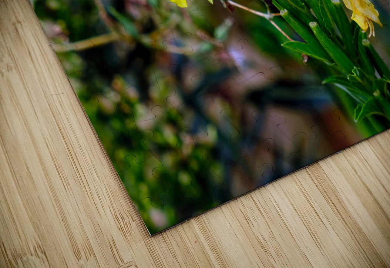 To Bee or Not to Bee  -- Checking Under The Hood Click4Pix Puzzle