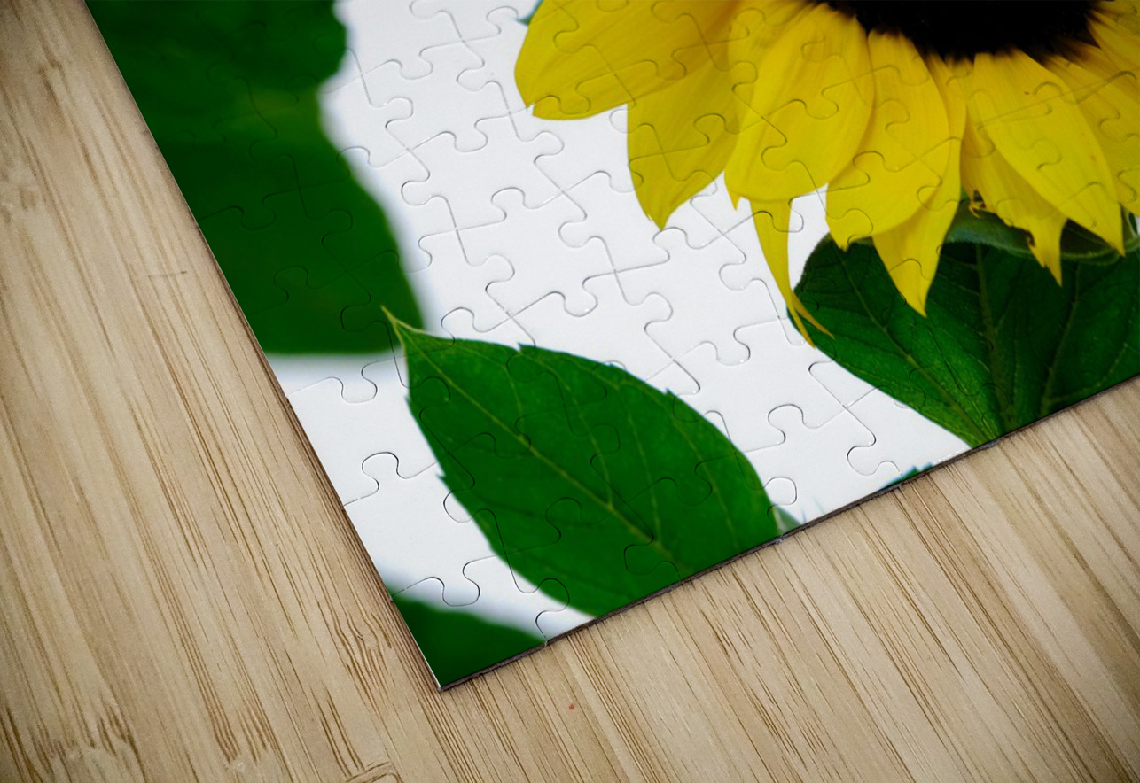 Blooms of Joy 3 Click4Pix Puzzle