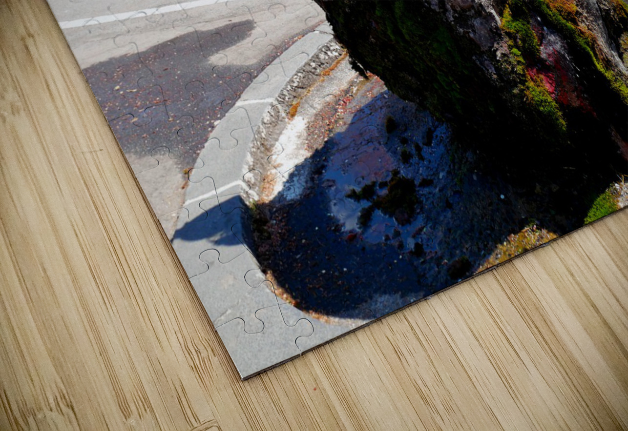 Dragon Bowl Sculpture Water Fountain 2 Click4Pix Puzzle