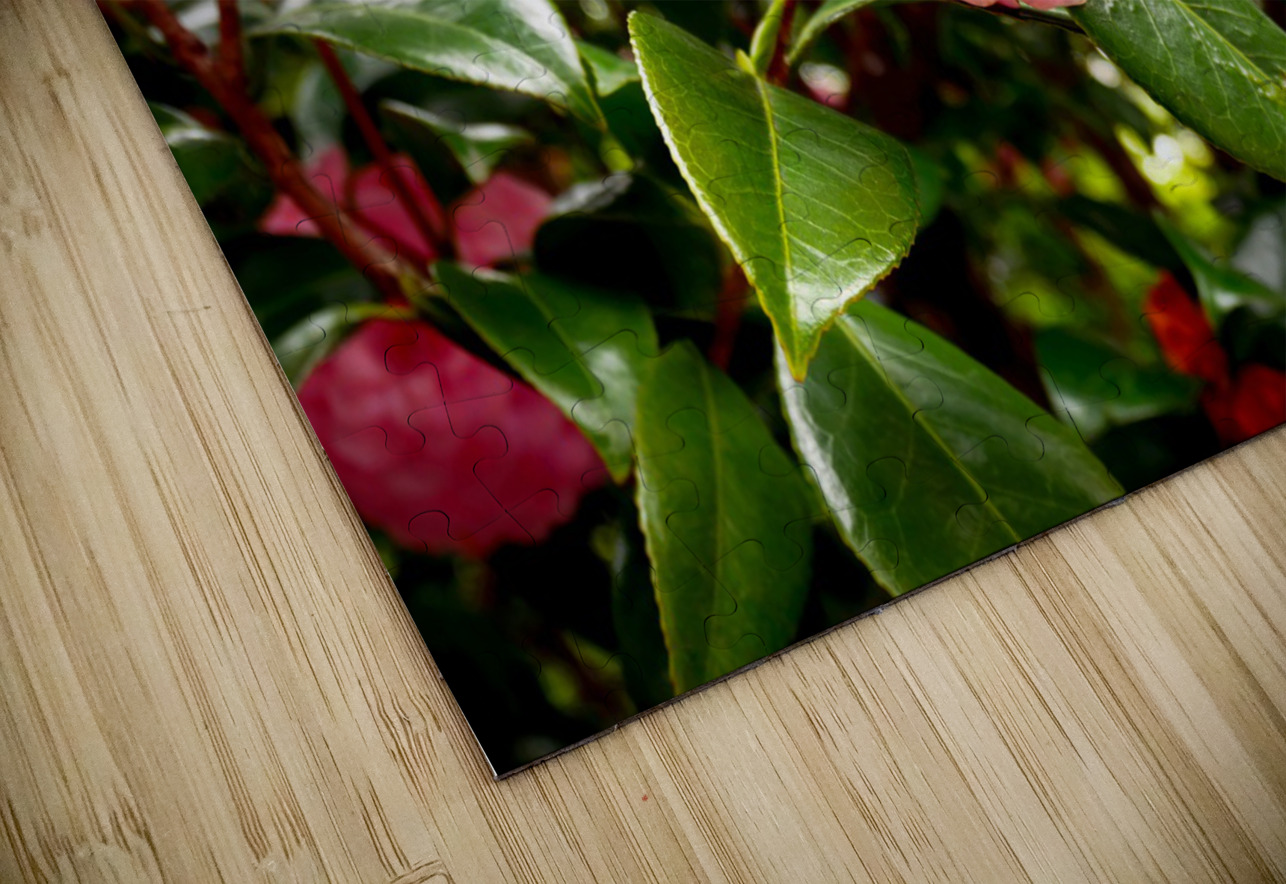 Blooms of Joy 1 Click4Pix Puzzle