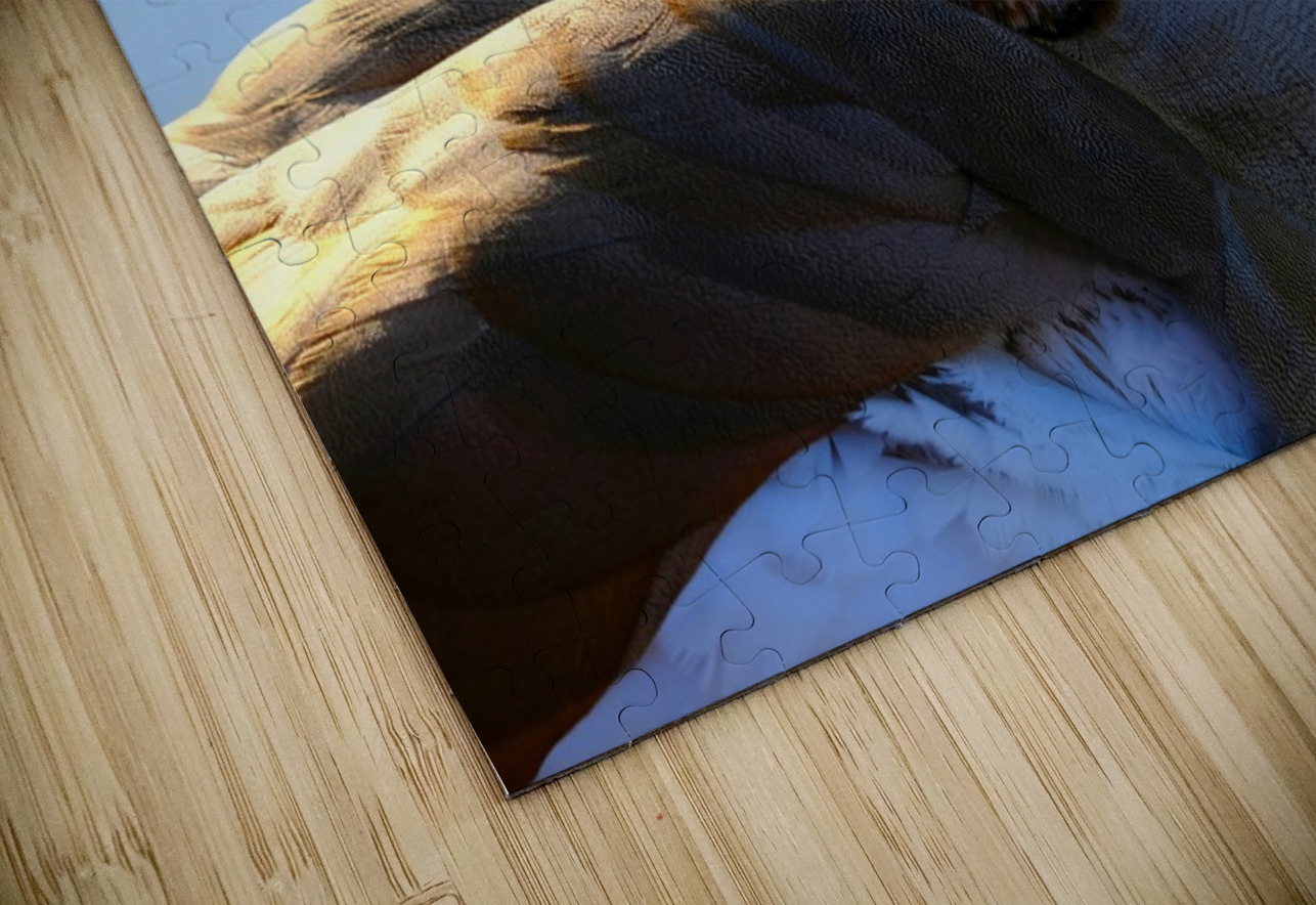 Duck Face Click4Pix Puzzle