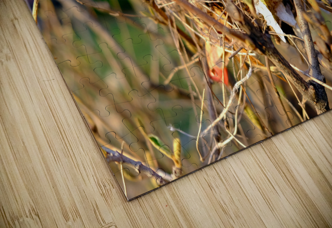 Sanctuary Among Branches Click4Pix Puzzle