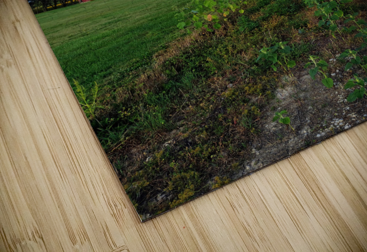 Golden Silence Click4Pix Puzzle