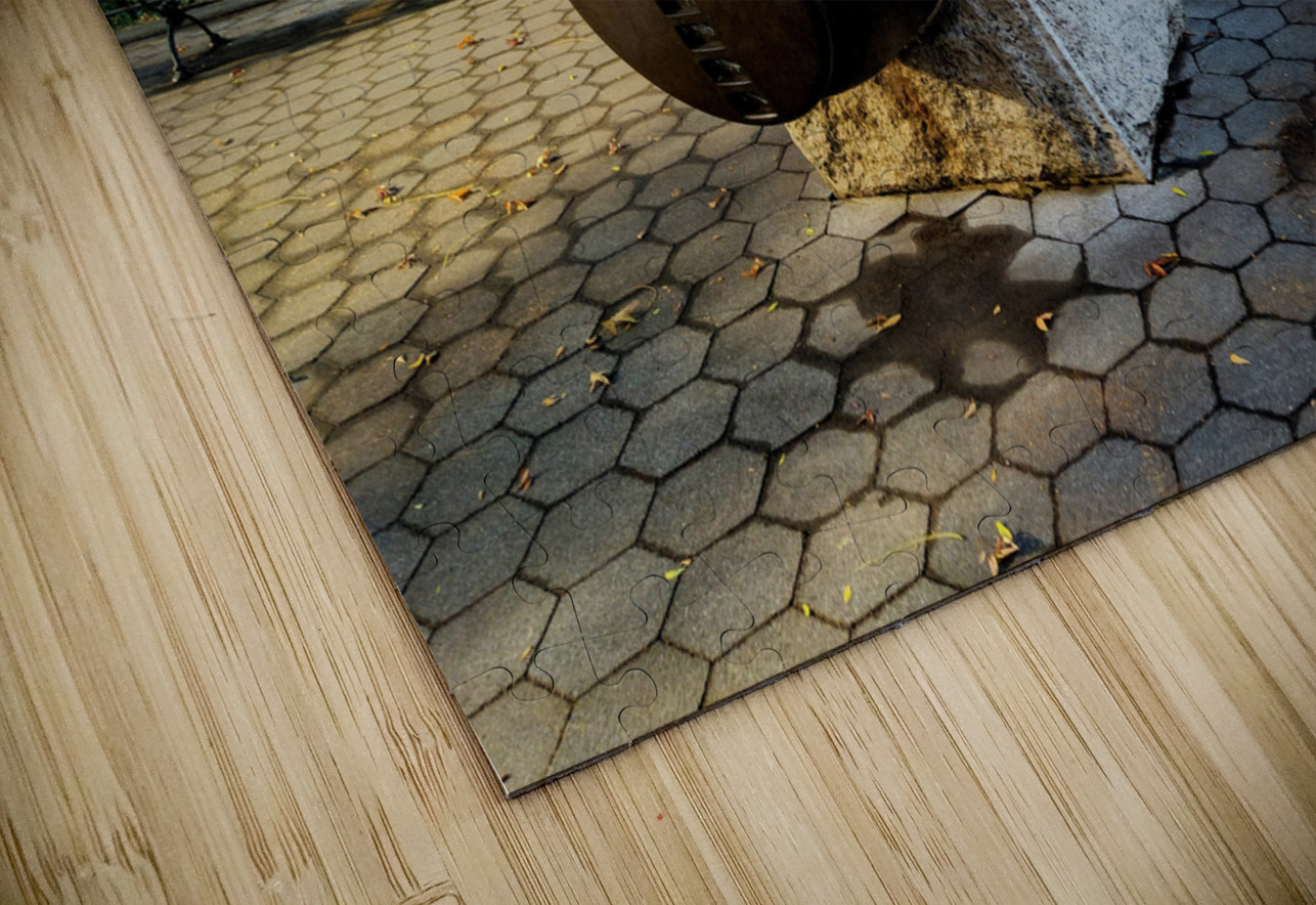 Parkside Cannon Click4Pix Puzzle