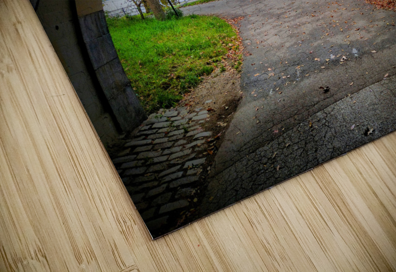  Into Autumn Light Click4Pix Puzzle