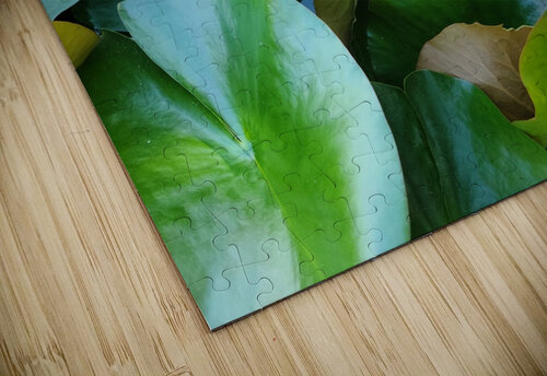 Lusty Lily: Beneath the Folds Click4Pix puzzle