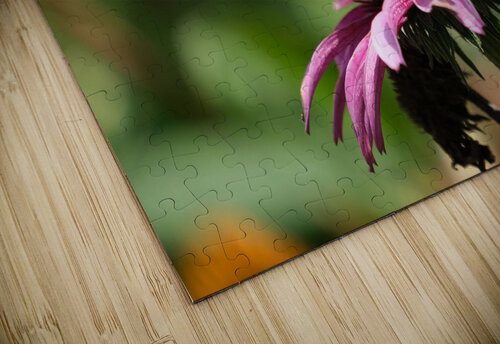 Harmony on a Purple Coneflower Click4Pix puzzle