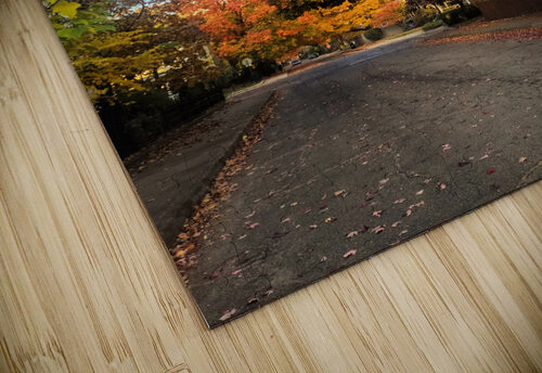 Fall Over the Fence Click4Pix puzzle